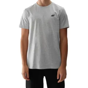 4F T-SHIRT Herren T-Shirt, grau, größe XL