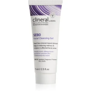 AHAVA Clineral SEBO sanftes Reinigungsgel für empfindliche und intolerante Haut 75 ml