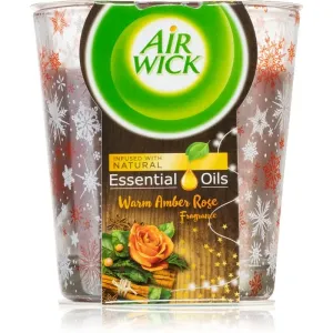 Air Wick Magic Winter Warm Amber Rose Duftkerze 105 g