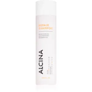 Alcina Repair Line stärkendes Shampoo für beschädigtes Haar 250 ml