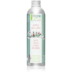 Allegro Natura Organic Shampoo für fettige Haare 250 ml