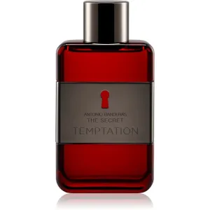 Antonio Banderas The Secret Temptation Eau de Toilette für Herren 100 ml