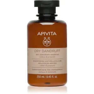 Apivita Dandruff Dry Dandruff Shampoo Shampoo gegen Schuppen 250 ml
