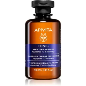 Apivita Men's Care HippophaeTC & Rosemary Shampoo gegen Haarausfall 250 ml