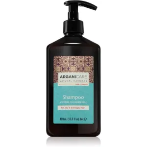 Arganicare Argan Oil & Shea Butter Shampoo für trockenes und beschädigtes Haar 400 ml