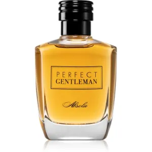 Art & Parfum Perfect Gentleman  Absolu Eau de Parfum für Herren 100 ml