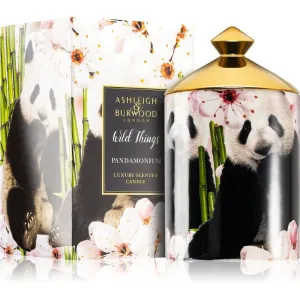 Ashleigh & Burwood London Wild Things Pandamonium Duftkerze 320 g