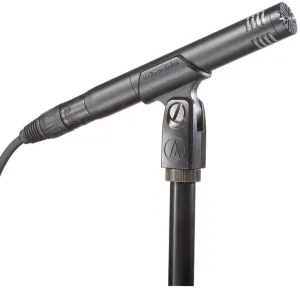 Audio-Technica AT2031 Cardioid Condenser Microphone
