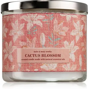 Bath & Body Works Cactus Blossom Duftkerze I. 411 g