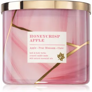 Bath & Body Works Honeycrisp Apple Duftkerze 411 g