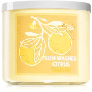 Bath & Body Works Sun-Washed Citrus Duftkerze 411 g