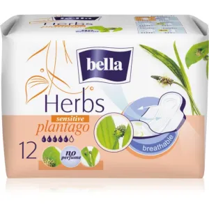 BELLA Herbs Plantago Binden Nicht parfümiert 12 St