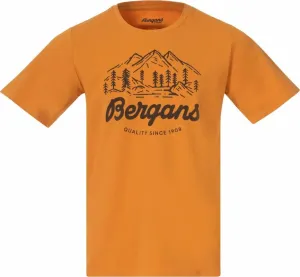 Bergans Classic V2 Tee Men Golden Field S