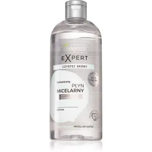 Bielenda Clean Skin Expert Detox-Mizellenwasser 400 ml