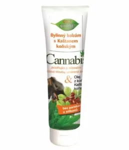 Bione Cosmetics Kräuterbalsam mit Cannabis Rosskastanie 300 ml
