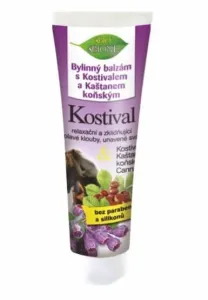 Bione Cosmetics Kräuterbalsam mit Kostivale und Rosskastanie 300 ml
