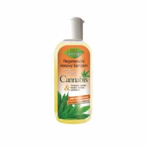 Bione Cosmetics Regenerierendes Haarshampoo Cannabis 80 ml