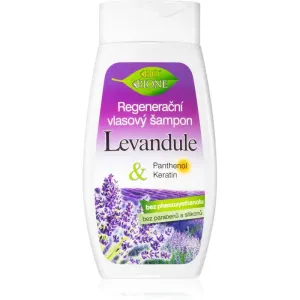 Bione Cosmetics Lavender Regenierendes Shampoo für alle Haartypen 260 ml