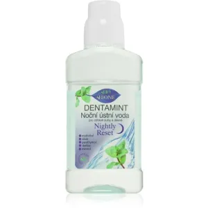 Bione Cosmetics Dentamint Nightly Reset Mundspülung für die Nacht 265 ml