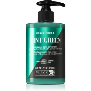 Black Professional Line Crazy Toner farbige Haartönung Mint Green 300 ml