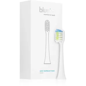 Blue M Essentials for Health Ersatzkopf für Zahnbürste 2 St