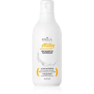 Brelil Professional Milky Sensation BB Shampoo regenerierendes Shampoo für geschwächtes und beschädigtes Haar 250 ml