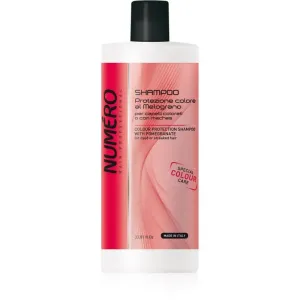Brelil Professional Colour Protection Shampoo Shampoo für gefärbtes Haar 1000 ml