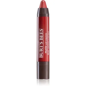 Burt’s Bees Lip Crayon dünner Lippenstift mit Matt-Effekt Farbton 3.1 g
