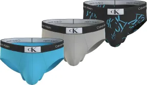 Calvin Klein 3 PACK - Herren Slips CK96 NB3527E-I0Q L
