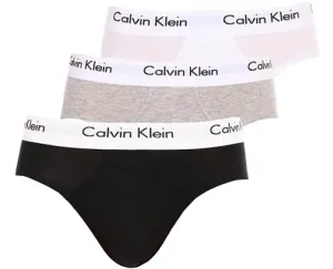 Calvin Klein 3 PACK Herren Slips U2661G-998 L