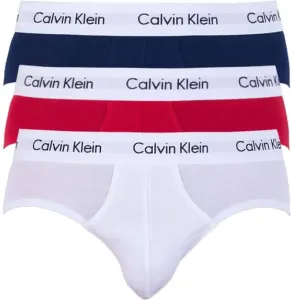 Calvin Klein 3 PACK Herren Slips U2661G-I03 L