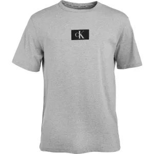 Calvin Klein ´96 GRAPHIC TEES-S/S CREW NECK Herrenshirt, grau, größe L