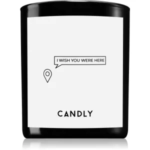 Candly & Co. I wish you were here Duftkerze 250 g