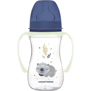 Canpol babies EasyStart Sleepy Koala 240 ml Babyflasche 3 m+ Blue 240 ml