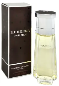 Carolina Herrera Herrera For Men eau de Toilette für Herren 100 ml