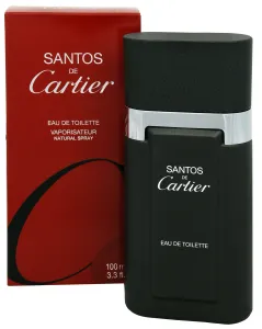 Cartier Santos De Cartier - Eau de Toilette mit Zerstäuber 100 ml
