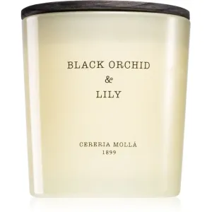 Cereria Mollá Boutique Black Orchid & Lily Duftkerze 600 ml