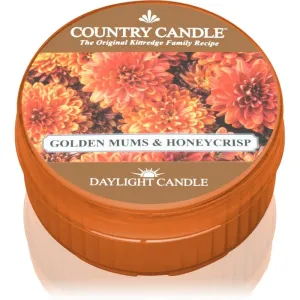 Country Candle Golden Mums & Honey Crisp duft-Teelicht 42 g