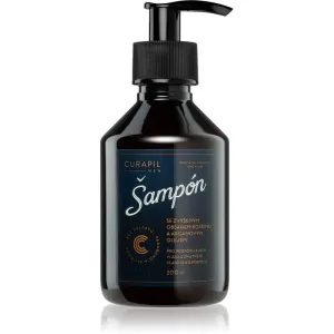 Curapil Men Koffein Shampoo für Männer zur Unterstützung des Haarwachstums 200 ml