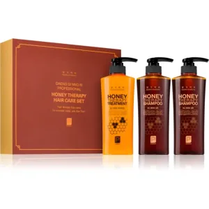 DAENG GI MEO RI Honey Therapy Professional Hair Care Set Geschenkset (zum nähren und Feuchtigkeit spenden)