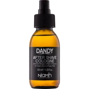 DANDY After Shave After Shave 100 ml