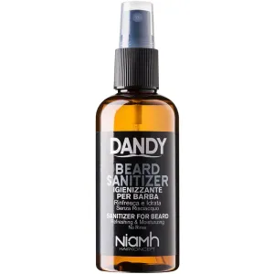 DANDY Beard Sanitizer Reinigungsspray ohne spülen für den Bart 100 ml