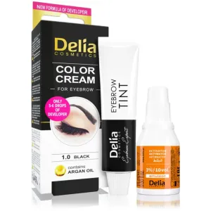 Delia Cosmetics Argan Oil Farbe für die Augenbrauen Farbton 1.0 Black 15 ml #307046