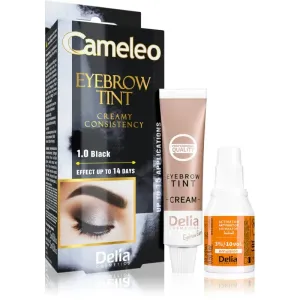 Delia Cosmetics Cameleo professionelle Creme-Farbe für die Augenbrauen ohne Ammoniak Farbton 1.0 Black 15 ml