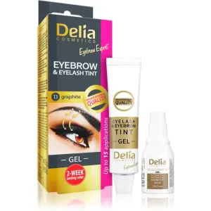 Delia Cosmetics Eyebrow Expert Färbung für Wimpern und Brauen mit Aktivator Farbton 1.1. Graphite 2 x 15 ml