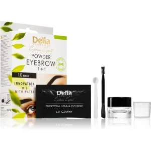Delia Cosmetics Eyebrow Expert tönende Augenbrauenfarbe Farbton 1.0 Black 4 g