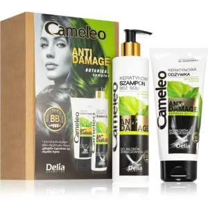 Delia Cosmetics Cameleo Anti Damage Geschenkset (für beschädigtes und brüchiges Haar) #899934