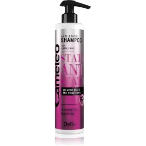 Delia Cosmetics Cameleo Anti Static glättendes Shampoo 250 ml