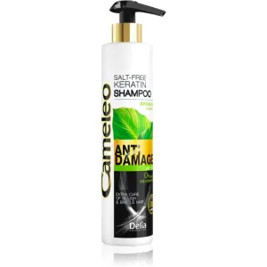 Delia Cosmetics Cameleo BB Shampoo  mit Keratin für beschädigtes Haar 250 ml