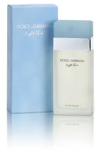 Dolce & Gabbana Light Blue eau de Toilette für Damen 200 ml